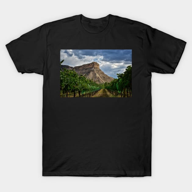 Colorado Wine Country T-Shirt by ElevatedCT